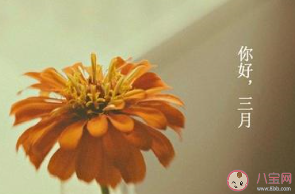 对2月说再见对3月说你好的心情说说  迎接3月告别2月的心情句子