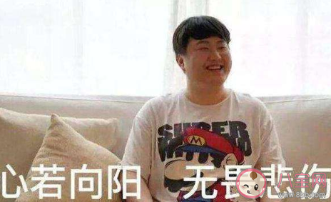 不会真有人以为是什么梗 不会真有人以为完整句子是什么