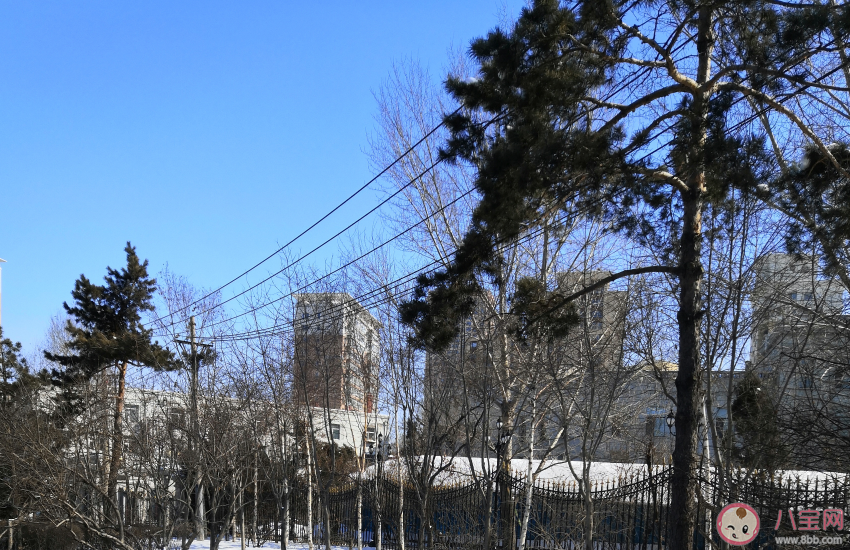 春天来了朋友圈心情 春天来了说说句子感慨