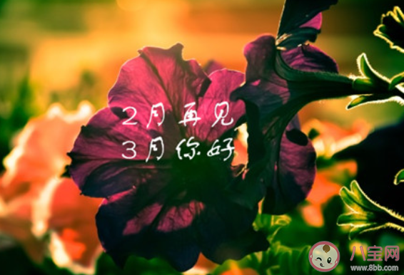 2020三月致自己的创意文案节选 2020三月第一天给自己的励志语录大全 2020三月致自己的创意文案节选 2020三月第一天给自己的励志语录大全