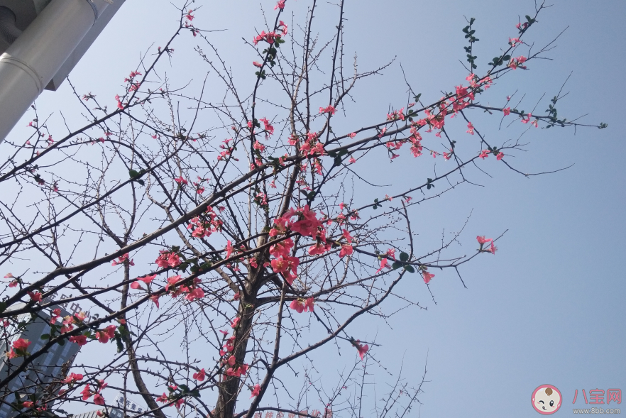 最近老做梦说说朋友圈 最近老做梦心情感慨