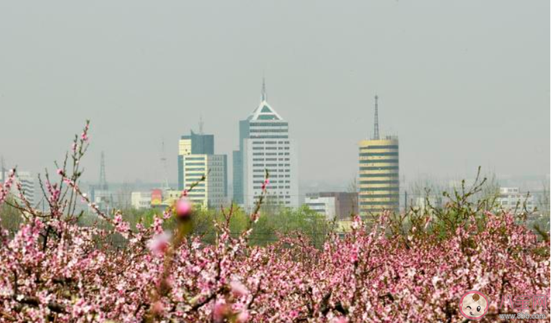 2020疫情结束的心情说说句子 疫情结束经典文案句子大全