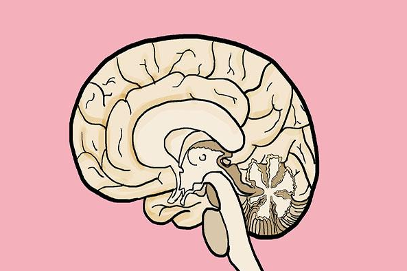 人为什么会回光返照 关于人类回光返照的科学解释