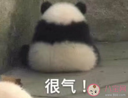 用四字形容2020上半年 四个字期待2020的事情