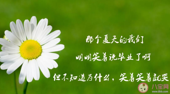 2020毕业季经典的朋友圈心情语录 2020毕业季发朋友圈个性说说大全