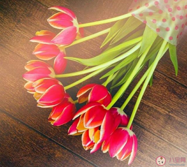 一切都会好起来的唯美文字句子 一切都会好起来的唯美说说语录 一切都会好起来的唯美文字句子 一切都会好起来的唯美说说语录