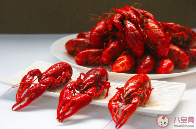 小龙虾怎么判断公母 小龙虾公的好还是母的好吃