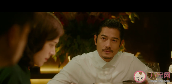 《秘密访客》讲述了什么故事 《秘密访客》好看吗