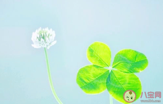 2020三月你好的心情说说 三月你好朋友圈句子 2020三月你好的心情说说 三月你好朋友圈句子