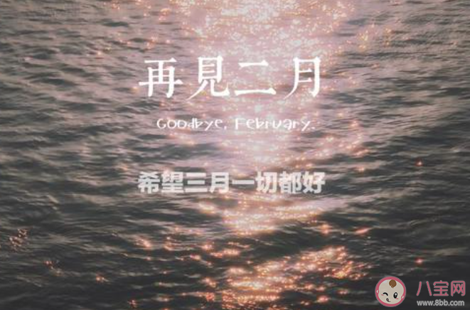 四年一次2月29日的心情文案句子 2月29日的创意文案说说大全