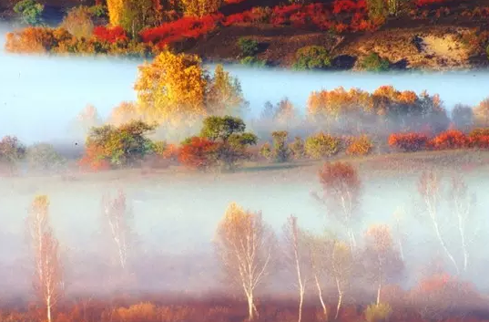 天气变凉搞笑朋友圈说说 天气转凉的搞笑句子