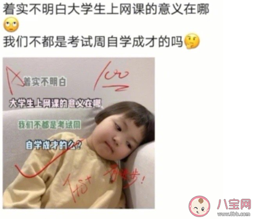 这个网课让我体会到了什么 感谢这个网课让我体会到了哪些事情