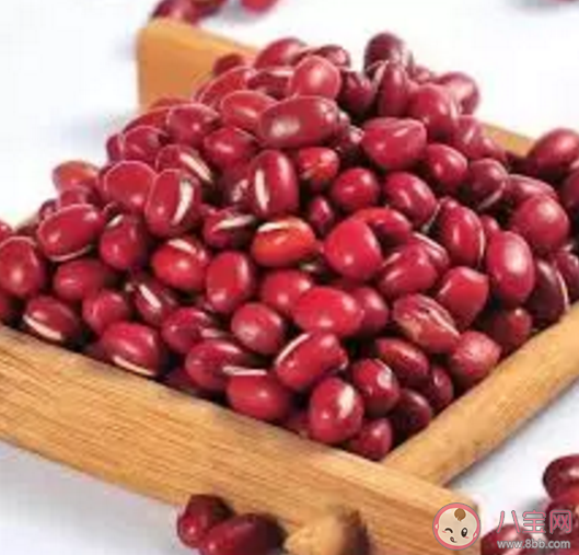 红豆可以减肥吗  红豆有减肥的功效吗