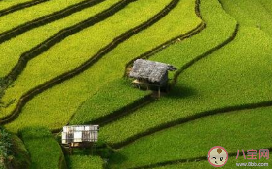 三月第一天发的心情句子 2020三月第一天的感受说说