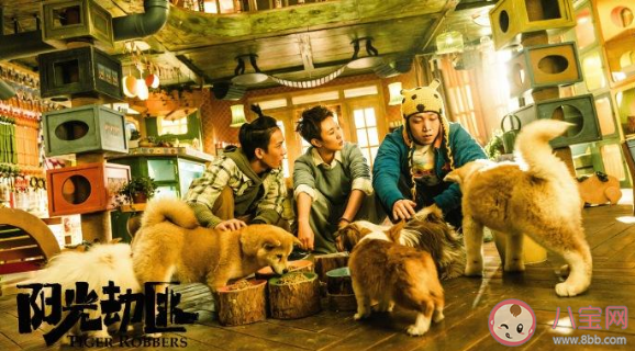 《阳光劫匪》好不好看 《阳光劫匪》影评怎么样