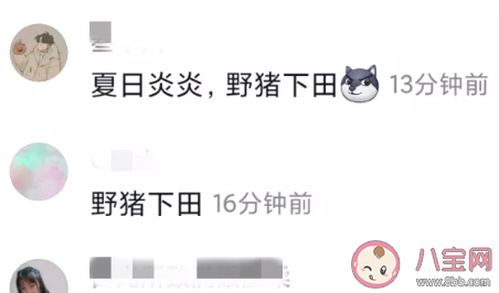 夏日炎炎野猪下田是什么意思什么梗 夏日炎炎野猪下田梗的出处是什么 夏日炎炎野猪下田是什么意思什么梗 夏日炎炎野猪下田梗的出处是什么