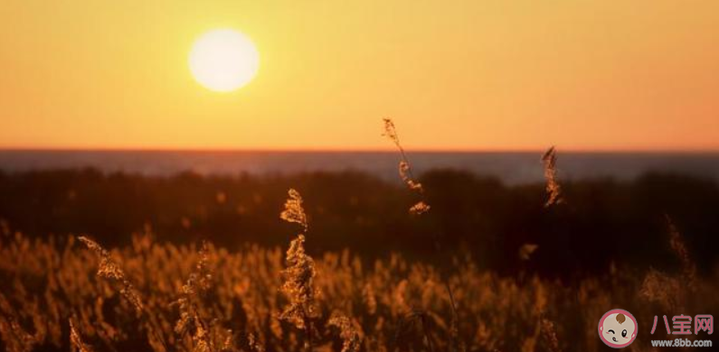 一切都会好起来的唯美文字句子 一切都会好起来的唯美说说语录 一切都会好起来的唯美文字句子 一切都会好起来的唯美说说语录