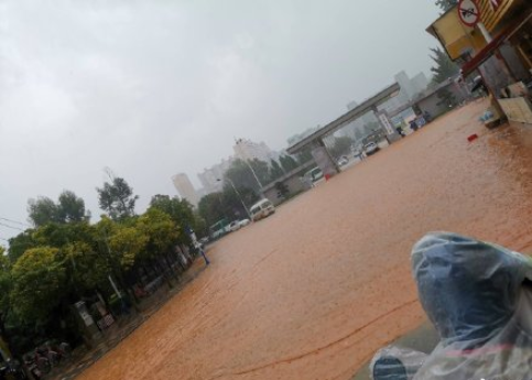 哪一刻你觉得自己不是亲生的 觉得自己不是亲生的瞬间有哪些