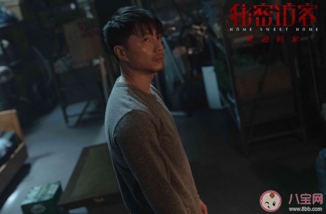 《秘密访客》讲述了什么故事 《秘密访客》好看吗