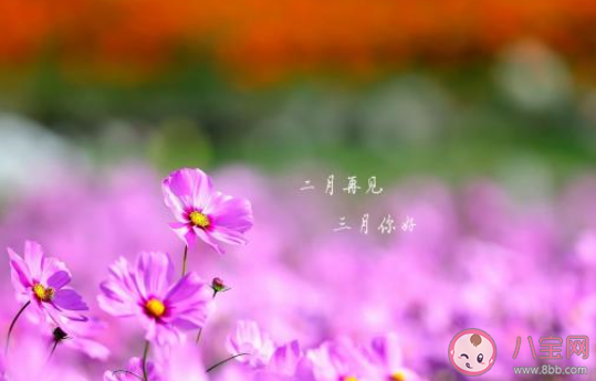 二月最后一天的心情感慨说说 二月最后一天的感受句子