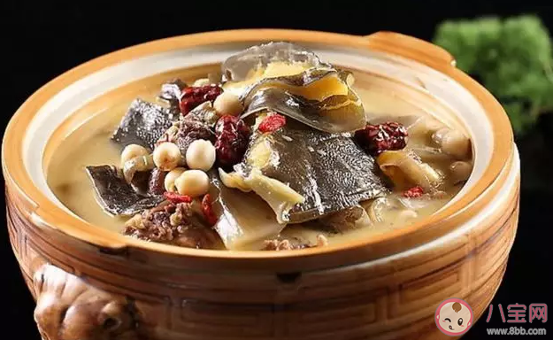 中华鳖乌龟等不入禁食名录是怎么回事 中华鳖是什么东西 中华鳖乌龟等不入禁食名录是怎么回事 中华鳖是什么东西