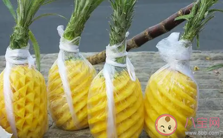 用盐水泡的菠萝依然扎嘴怎么办 菠萝用盐水泡有用吗