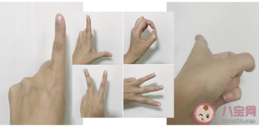 那就是180231,是我心底的声音是什么歌 《180231》完整版歌词在线听歌 那就是180231,是我心底的声音是什么歌 《180231》完整版歌词在线听歌