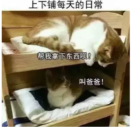 第一次见室友是什么感觉 第一次见室友的内心戏是什么 第一次见室友是什么感觉 第一次见室友的内心戏是什么