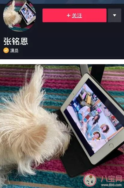 搂肩亲吻的普通朋友是什么意思什么梗 网络用语普通朋友的出处是什么 搂肩亲吻的普通朋友是什么意思什么梗 网络用语普通朋友的出处是什么