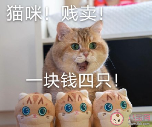 适合第一次摆地摊发的朋友圈文案 第一次开始摆地摊的朋友圈