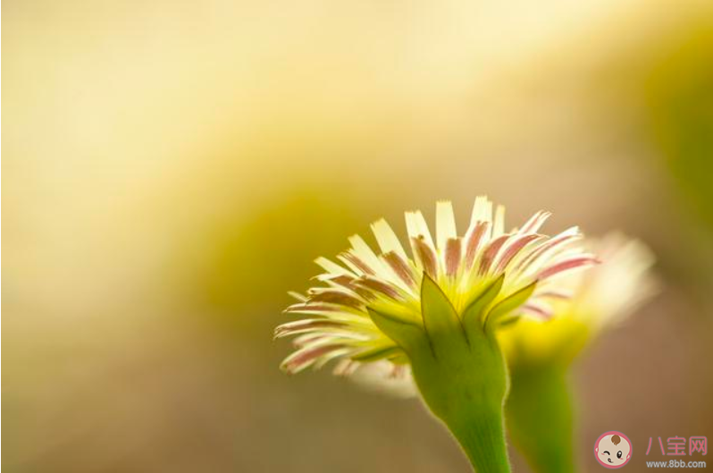一切都会好起来的唯美文字句子 一切都会好起来的唯美说说语录 一切都会好起来的唯美文字句子 一切都会好起来的唯美说说语录