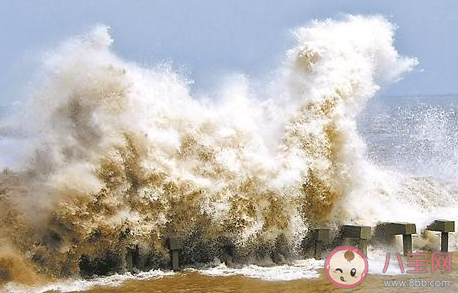 蚂蚁庄园钱塘江观潮最佳时节 4月3日答案介绍