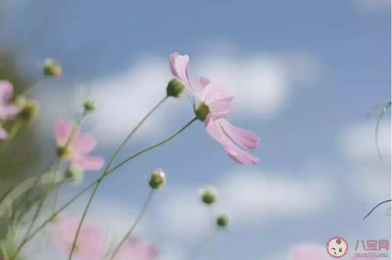 适合疫情结束发的朋友圈文案句子2020 疫情结束发朋友圈的文案大全