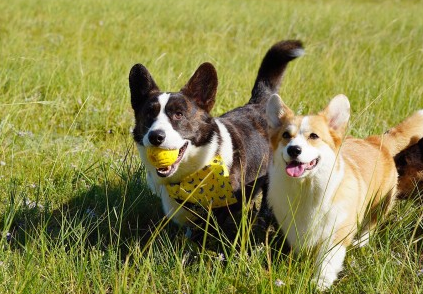 女生才懂的快乐瞬间有哪些 当代女生的快乐源泉是什么