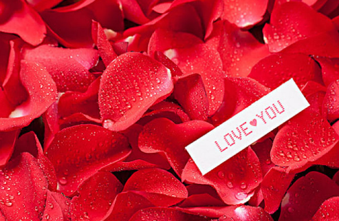 喜欢和爱的区别是什么 喜欢和爱的本质区别