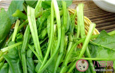 贫血就是身体里的血液量少了吗 蚂蚁庄园4月16日答案