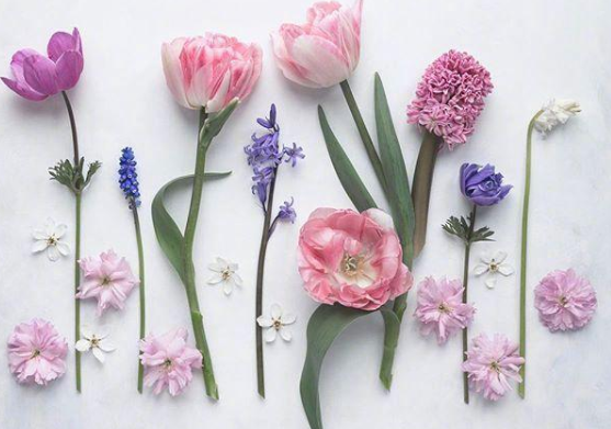 可爱又特别撩的小句子 可爱又撩人的精选短句