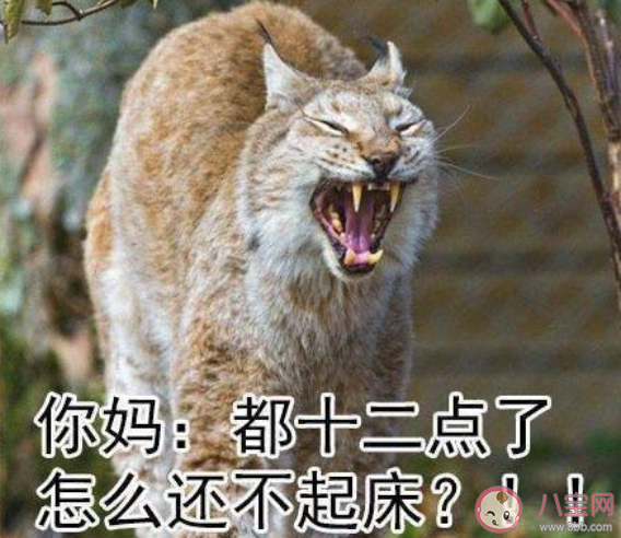 妈妈神一样的逻辑有哪些 妈妈日常生活中无法理解的神逻辑 妈妈神一样的逻辑有哪些 妈妈日常生活中无法理解的神逻辑