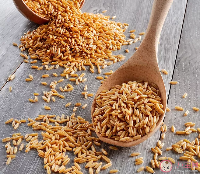 9种健康主食排行榜及食用方法 优质主食榜单推荐 9种健康主食排行榜及食用方法 优质主食榜单推荐