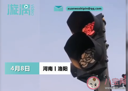 洛阳哪些地方红绿灯变成牡丹形状 牡丹花对洛阳有什么意义