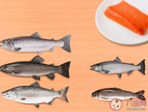 新冠病毒能在冷冻食品上存活下了来吗 新冠病毒冷藏环境里活多