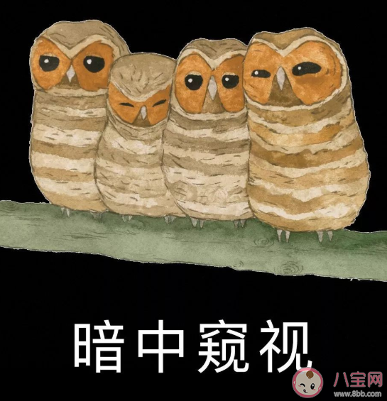 好怪哦再看一眼是什么意思 好怪哦再看一眼梗出处来源