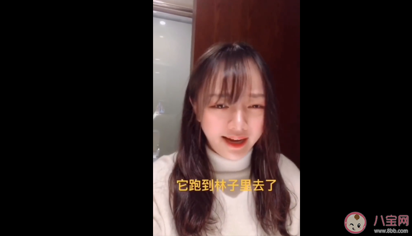 找塞班是什么梗 找塞班是什么意思