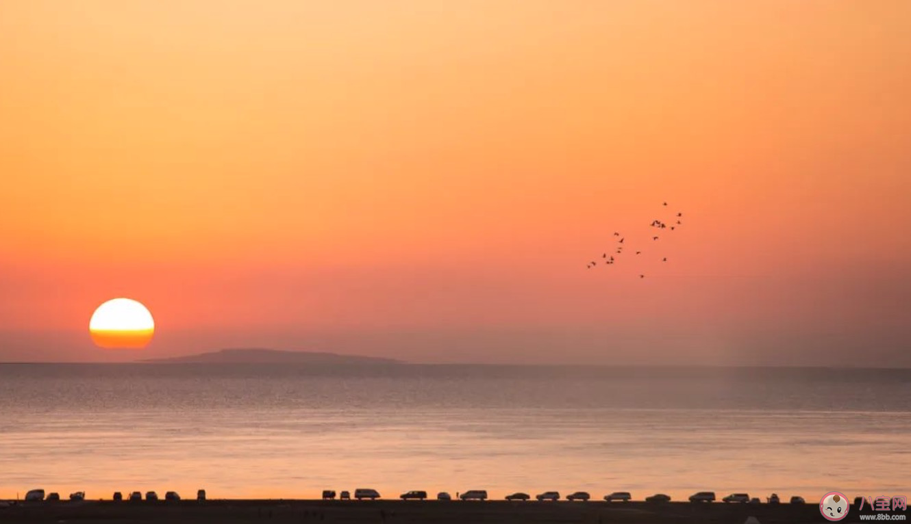 疫情结束后的朋友圈说说 关于疫情结束发的励志文案 疫情结束后的朋友圈说说 关于疫情结束发的励志文案