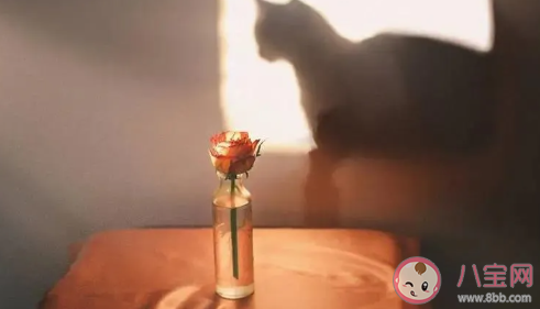 2020六一超可爱文案大全 六一可爱可甜的句子