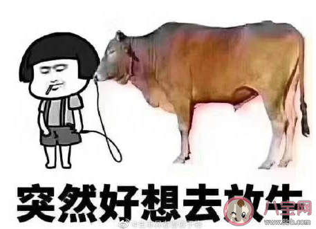 怎么看待给小时候的自己道个歉 给小时候的自己道个歉是怎么回事