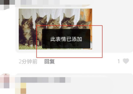 抖音五只猫摇头表情包动图 五只猫点头表情包怎么发