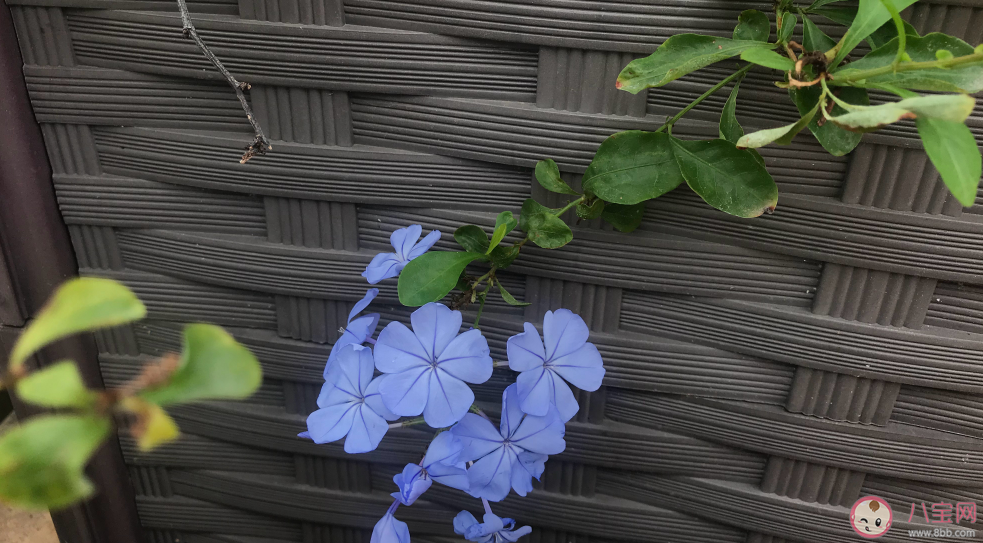 2020三月你好的心情说说 三月你好朋友圈句子 2020三月你好的心情说说 三月你好朋友圈句子