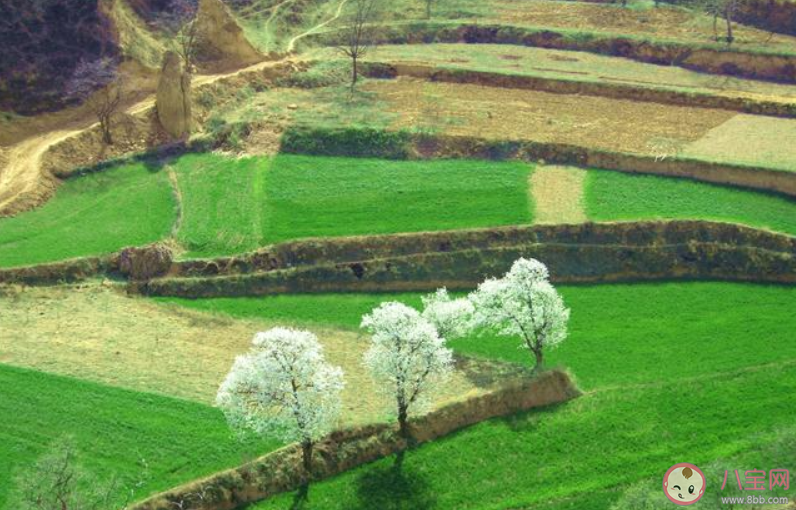 2020疫情结束的心情说说句子 疫情结束经典文案句子大全