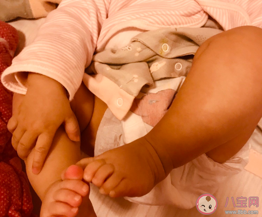 碧芭大鱼海棠纸尿裤怎么样 碧芭大鱼海棠纸尿裤试用测评